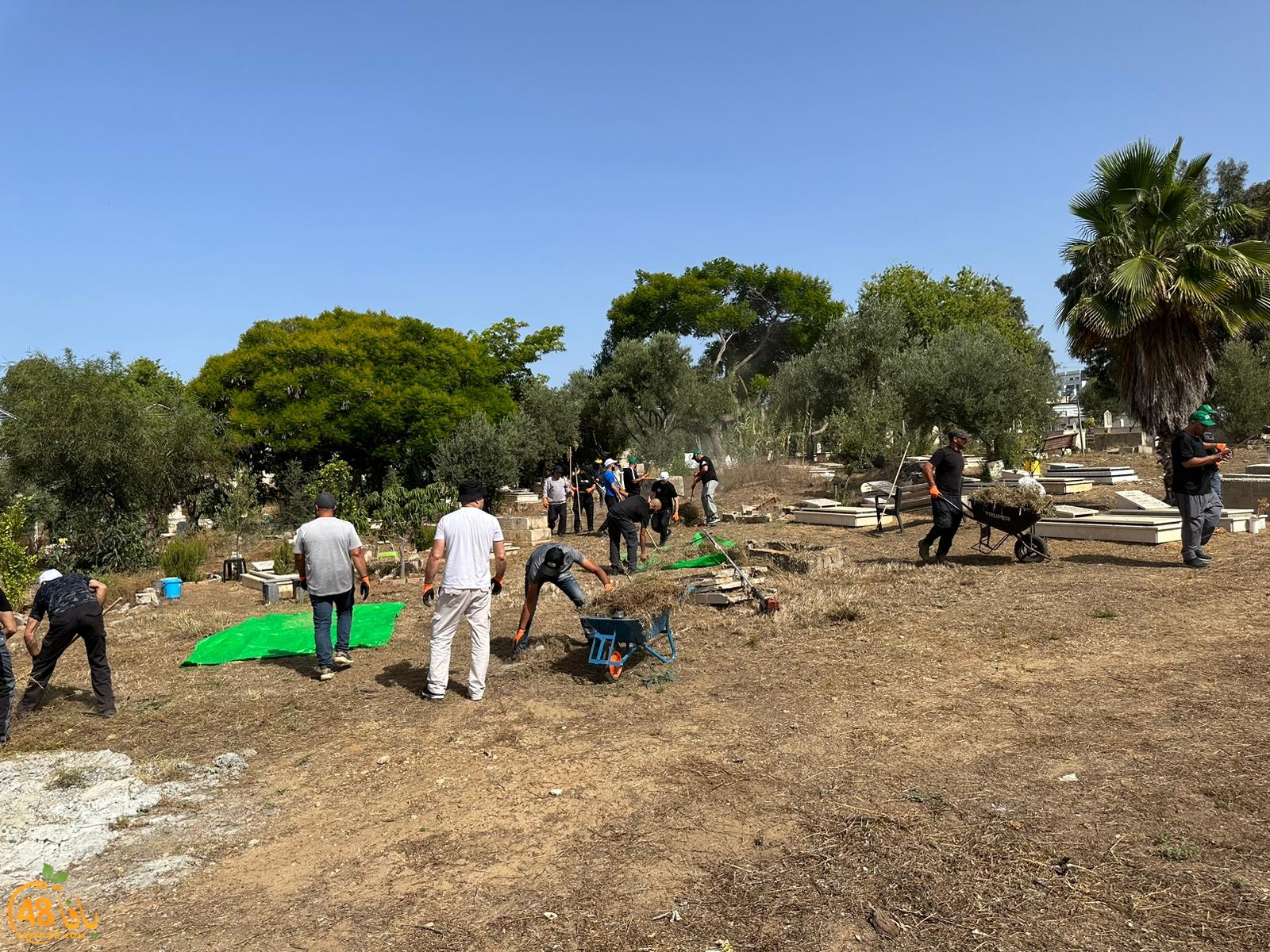 WhatsApp Image 2023-06-17 at 3.39.04 PM (3).jpeg